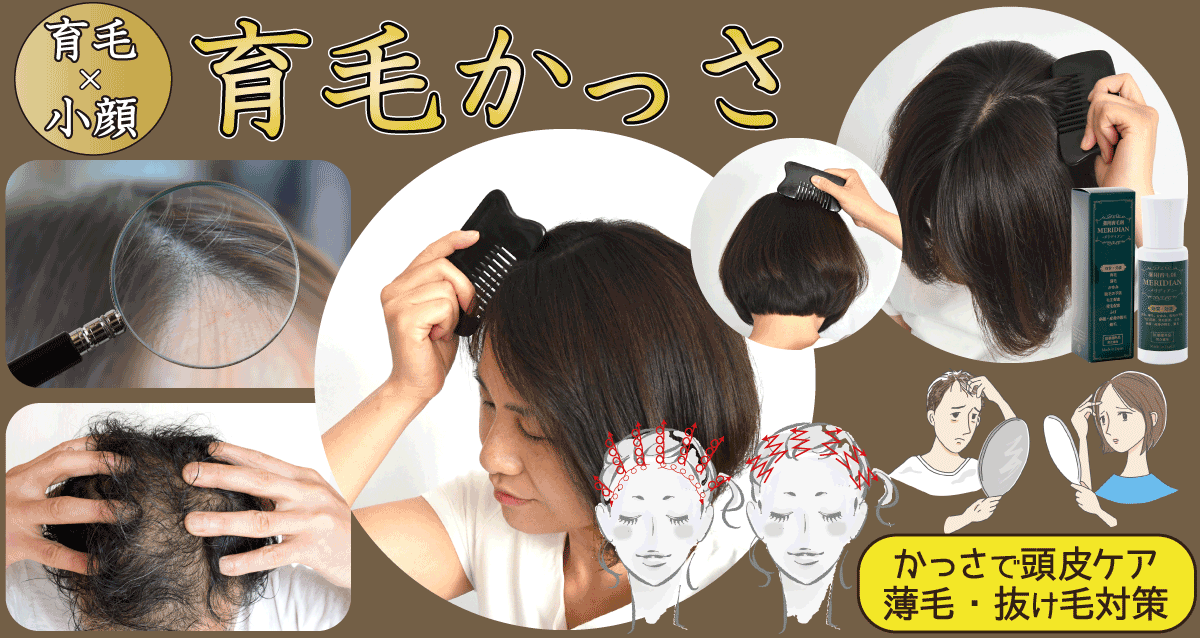 育毛かっさ 育毛剤と頭皮かっさの効果でスカルプケア 薄毛 抜け毛を改善 台湾美容技芸発展協会
